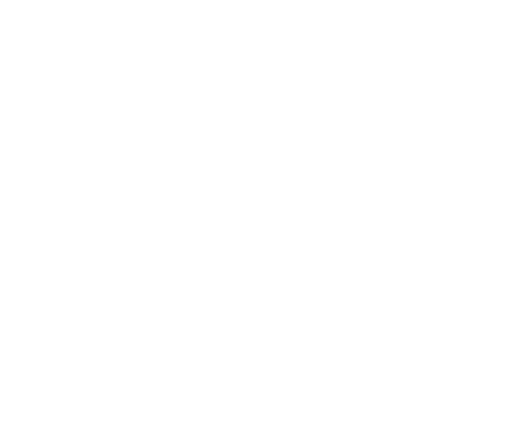 hinterzimmer.io